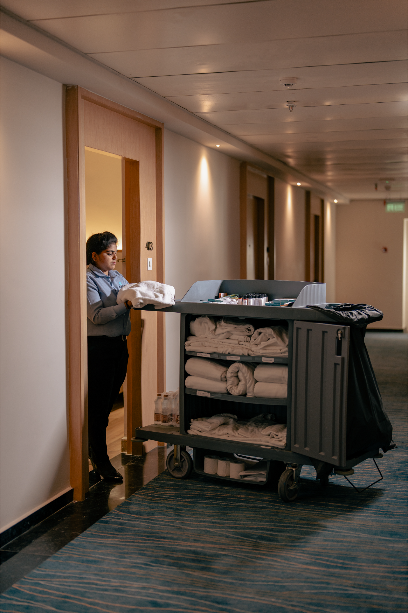 The Multiverse Experience